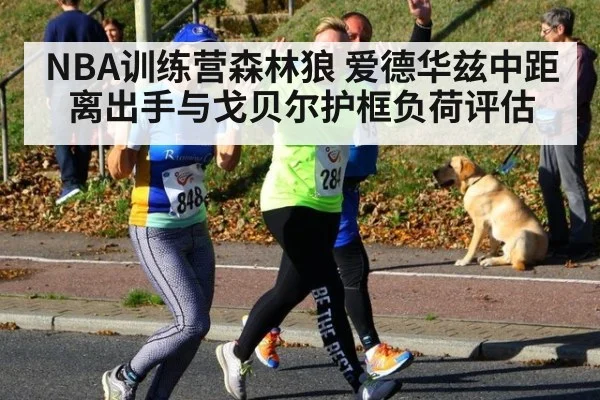 NBA训练营森林狼 爱德华兹中距离出手与戈贝尔护框负荷评估